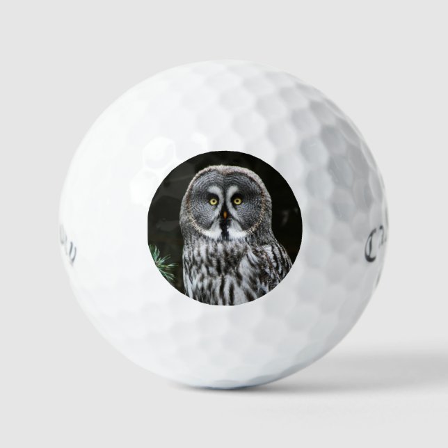 The Great Grey Owl css gbcna Golf Balls (Front)