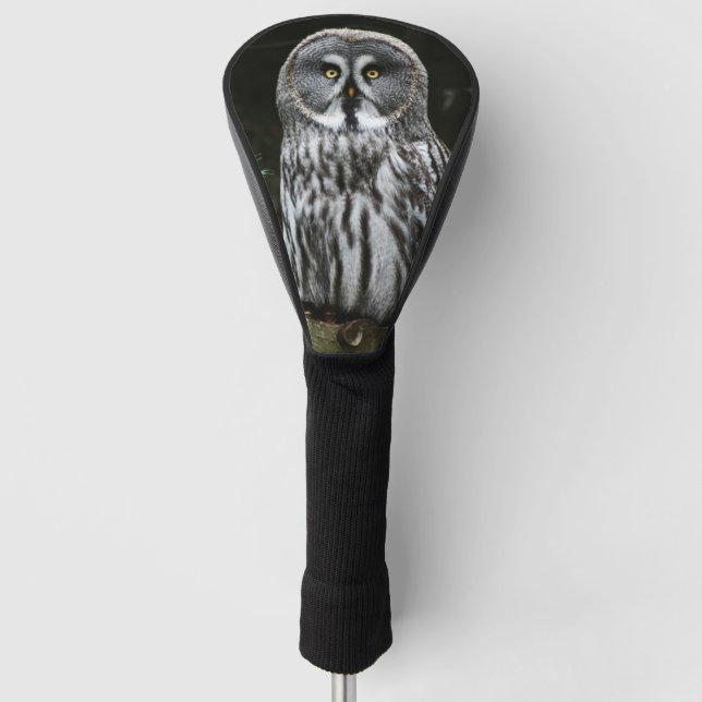 The Great Grey Owl dca Golf Head Cover (Front)