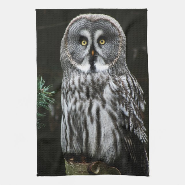 The Great Grey Owl kta Kitchen Towel (Vertical)