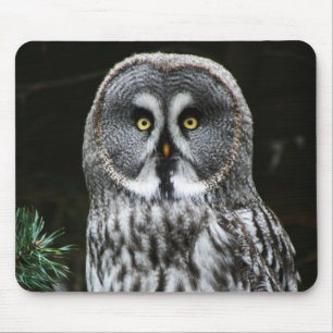 The Great Grey Owl mpcnm Mouse Pad