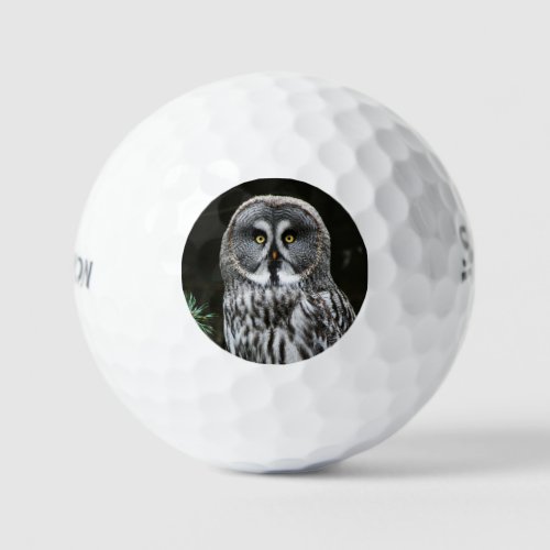 The Great Grey Owl ssf gbcnm Golf Balls