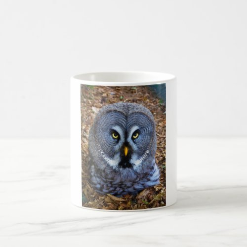 The Great Grey Owl Strix Nebulosa Lapland Owl Coffee Mug