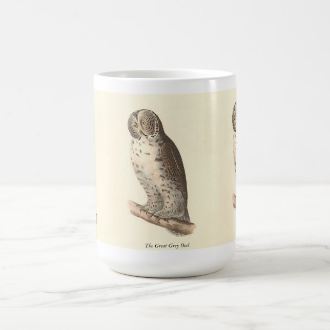 The Great Grey Owl (Strix nebulosa) NY Bird Image Coffee Mug (Center)