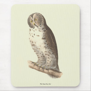The Great Grey Owl (Strix nebulosa) NY Bird Image Mouse Pad