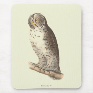 The Great Grey Owl (Strix nebulosa) NY Bird Image Mouse Pad
