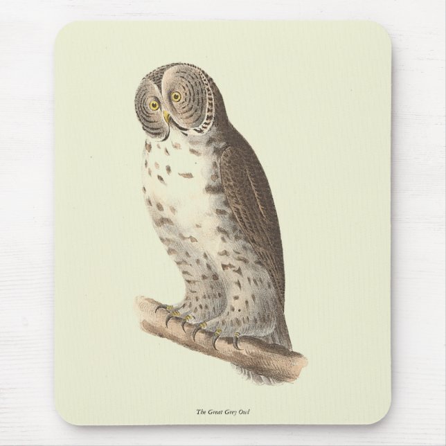 The Great Grey Owl (Strix nebulosa) NY Bird Image Mouse Pad (Front)