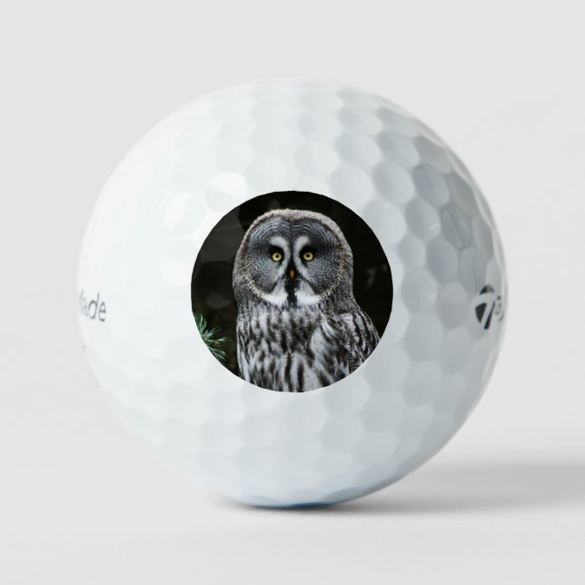The Great Grey Owl tmtp5 gbm Golf Balls (Front)