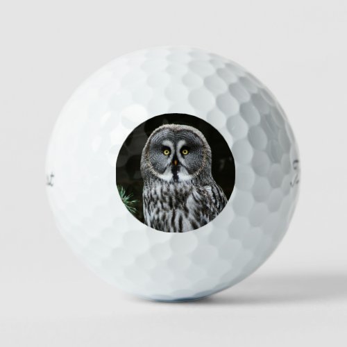 The Great Grey Owl tpv1 gbcn Golf Balls