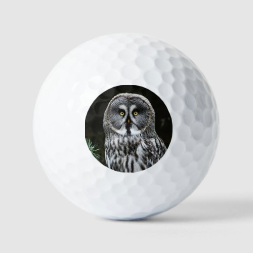 The Great Grey Owl va gbcnm Golf Balls
