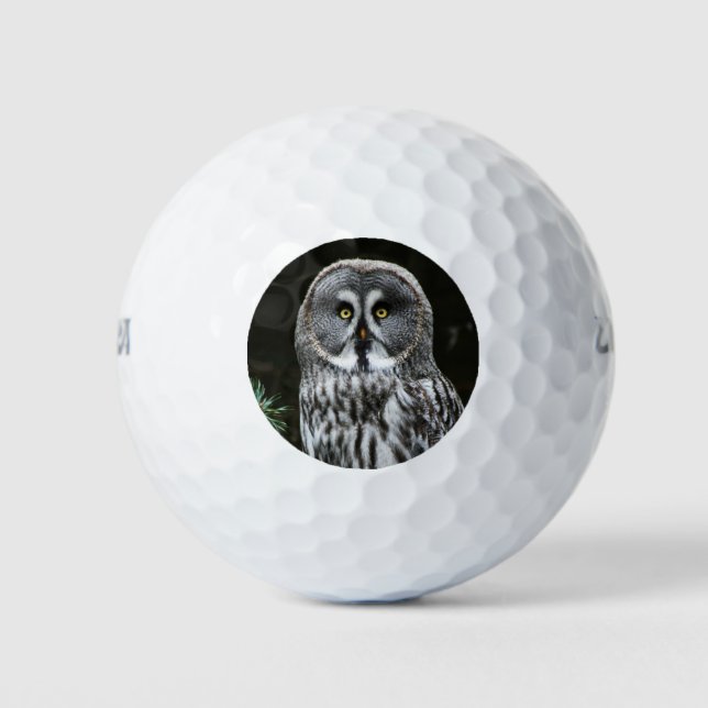 The Great Grey Owl wu gbcna Golf Balls (Front)