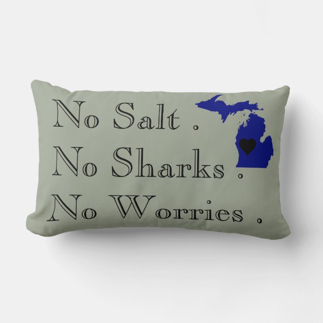 The Great Lakes Lumbar Pillow (Front)