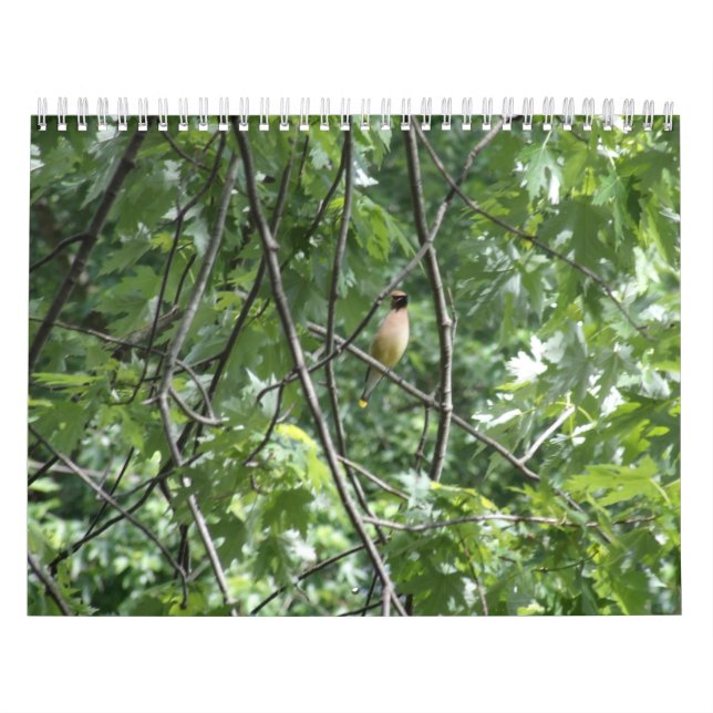 The great outdoors calendar (Cover)