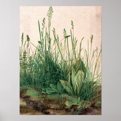 The Great Piece of Turf 1503 by Albrecht Durer Poster