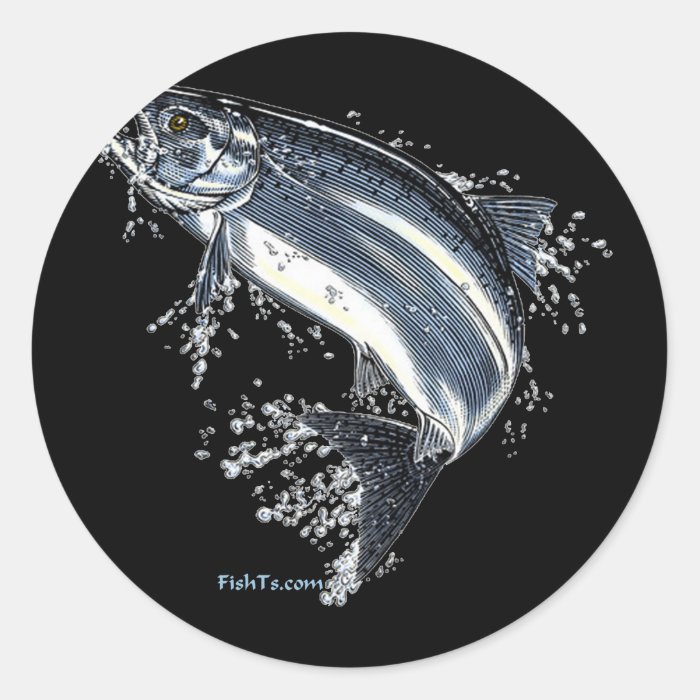 The Great Salmon Going Upstream Round Sticker