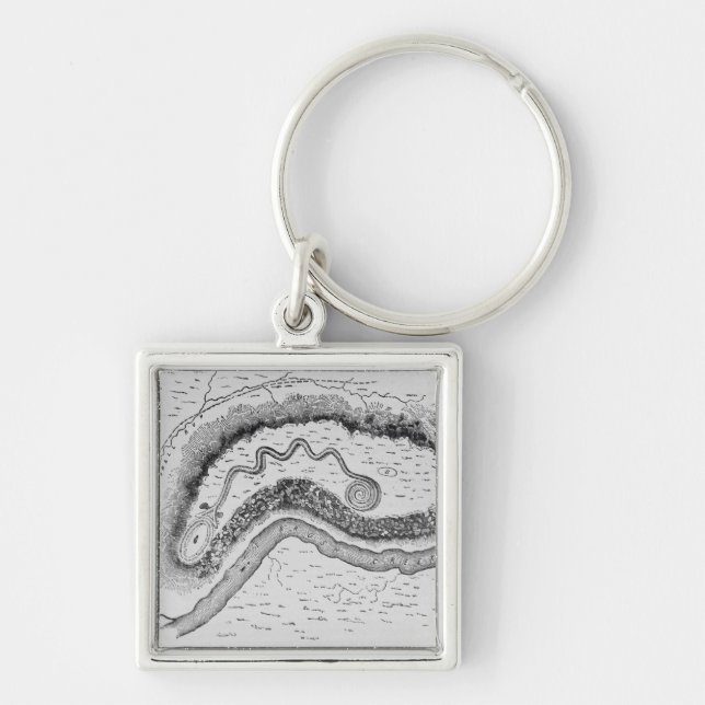 The Great Serpent Mound Keychain (Front)