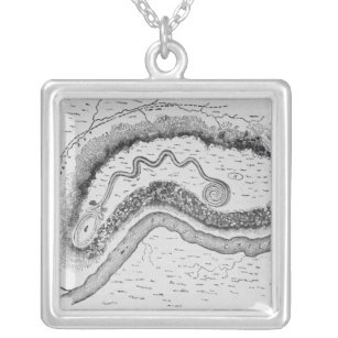 The Great Serpent Mound Silver Plated Necklace