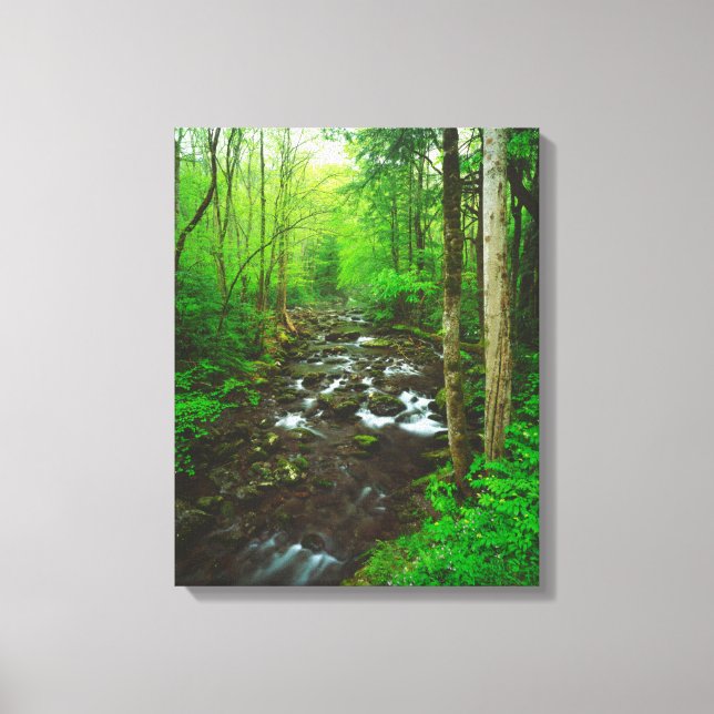 The Great Smoky Mountains Canvas Print (Front)