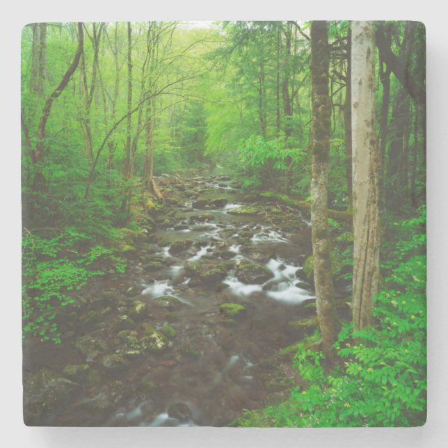 The Great Smoky Mountains Stone Coaster (Front)