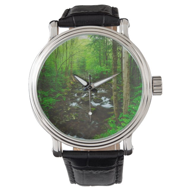 The Great Smoky Mountains Watch (Front)