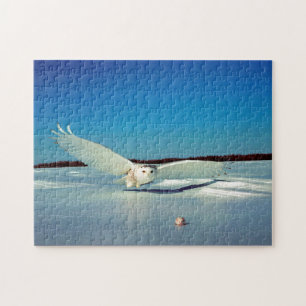 The Great Snowy Owl Bird of Prey Jigsaw Puzzle