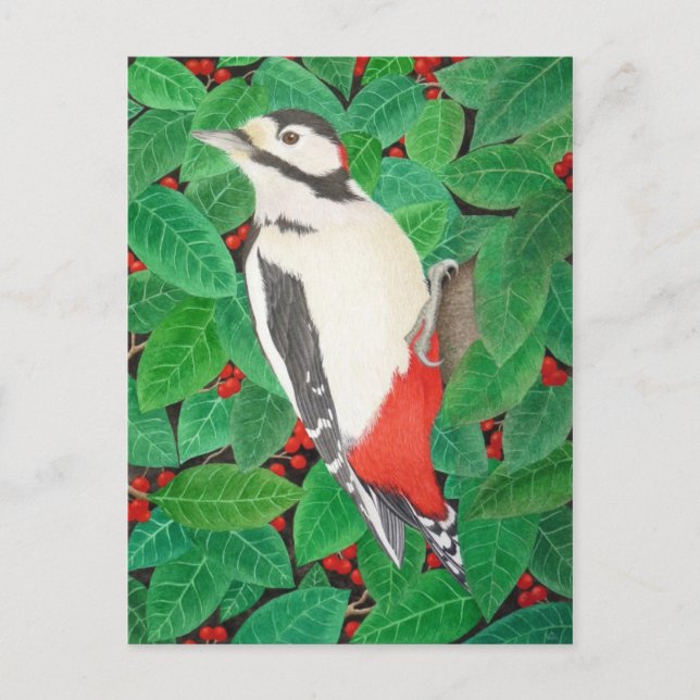 The Great Spotted Woodpecker Postcard (Front)