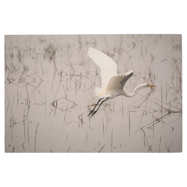 THE GREAT TAKEOFF 36 X 24 METAL WALL ART (Front)