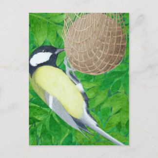 The Great Tit Postcard
