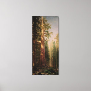 The Great Trees, Mariposa Grove, CA by Bierstadt Canvas Print