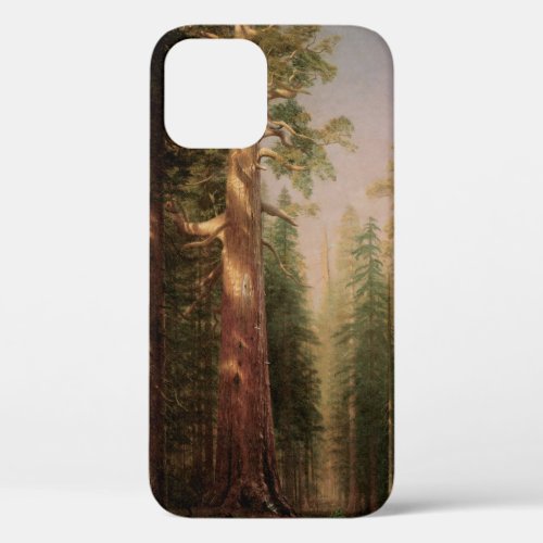 The Great Trees Mariposa Grove CA by Bierstadt iPhone 12 Case