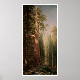 The Great Trees Poster