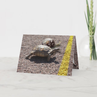 The Great Turtle and Snail Race Card