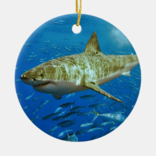 The Great White Shark Carcharodon Carcharias Ceramic Ornament