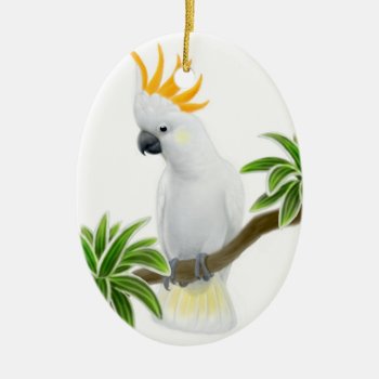 The Greater Citron Cockatoo Ornament by ornamentation at Zazzle