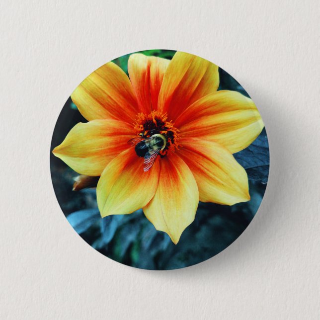 "The Greedy Bumblebee" Button (Front)