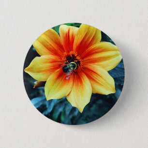 "The Greedy Bumblebee" Button