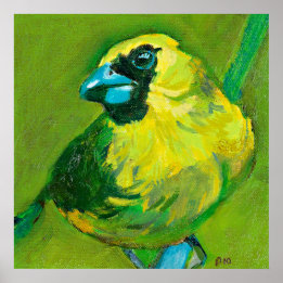 The Green Bird With The Blue Beak Poster