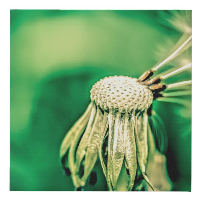 The Green Chief Funny Floral Faux Canvas Print (Front)