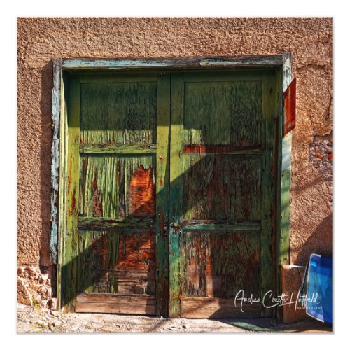 The Green Doors Photo Print