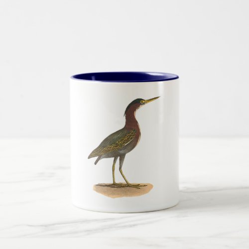 The Green Heron or Poke Ardea virescens Two_Tone Coffee Mug