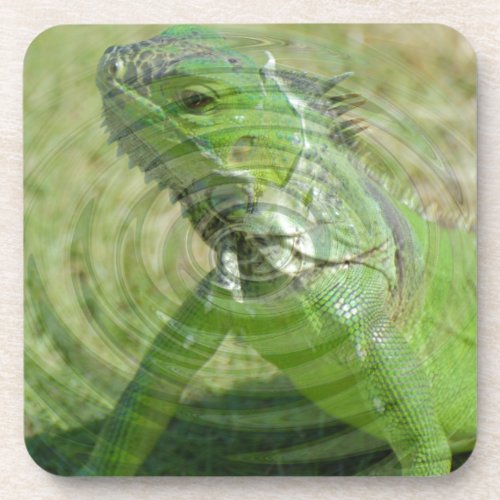 The Green Iguana Beverage Coaster