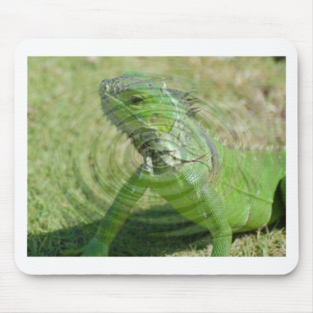 The Green Iguana Mouse Pad (Front)