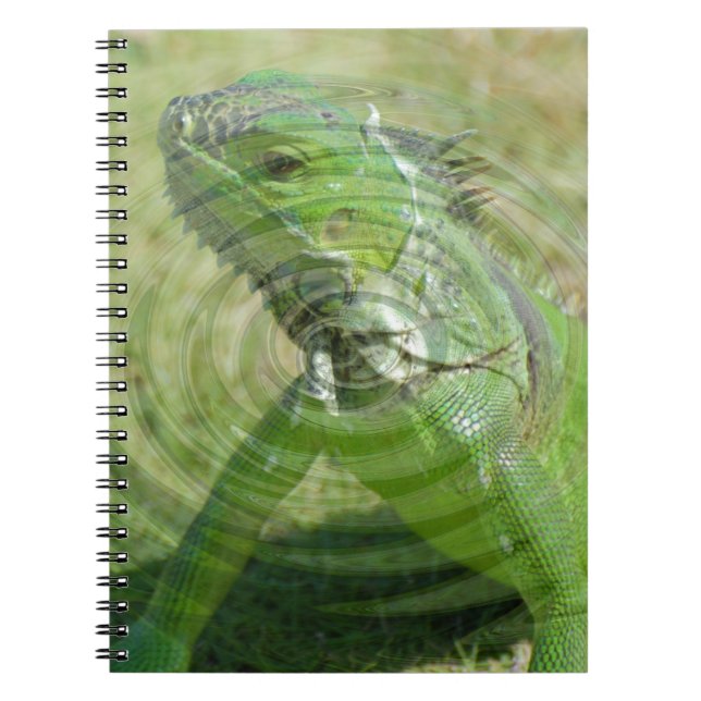 The Green Iguana Notebook (Front)