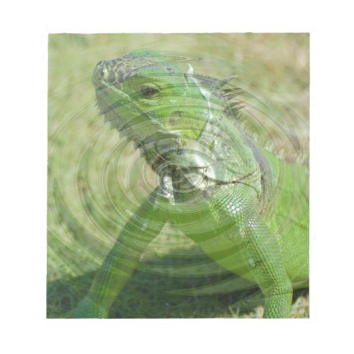 The Green Iguana Notepad