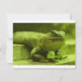 The Green Lizard (Front)