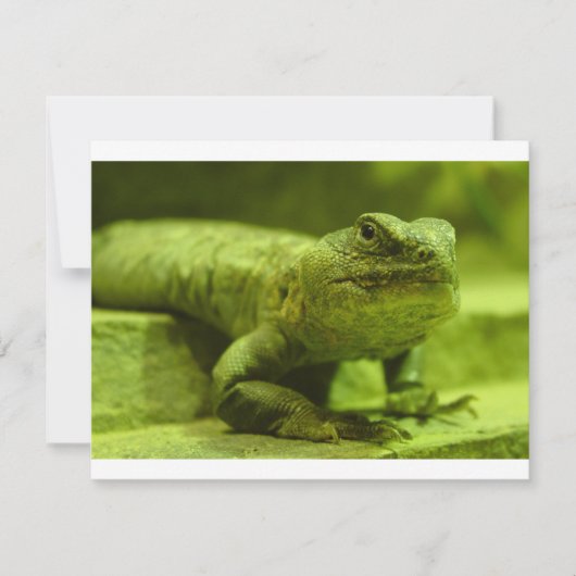 The Green Lizard (Front)