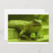 The Green Lizard (Front/Back)