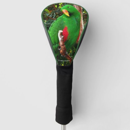 The Green Orator Eclectus Parrot Golf Head Cover