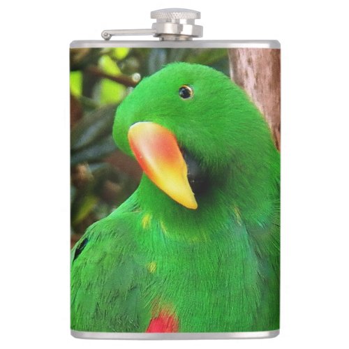 The Green Orator Eclectus Parrot Hip Flask