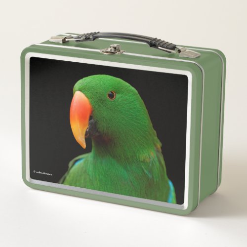 The Green Orator Eclectus Parrot Metal Lunch Box