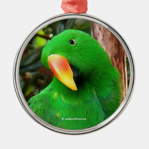 The Green Orator Eclectus Parrot Metal Ornament